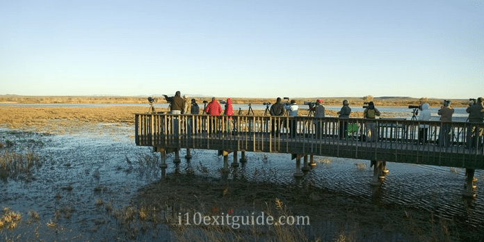 Bosque del Apache National Wildlife Refuge | I-10 Exit Guide Bosque del Apache National Wildlife Refuge | I-10 Exit Guide