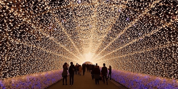 Amaze Light Festival | I-10 Exit Guide Amaze Light Festival | I-10 Exit Guide