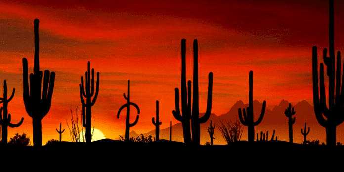 desert-gardens-rv-park-–-florence,-az desert-gardens-rv-park-–-florence,-az