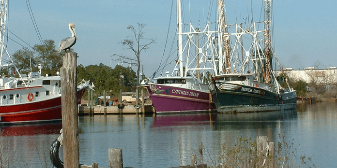 Alabama's Coastal Connection | I-10 Exit Guide Alabama's Coastal Connection | I-10 Exit Guide