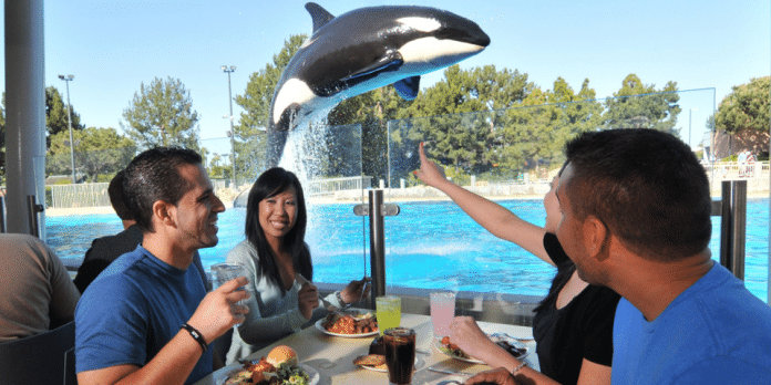 Seaworld San Diego | I-10 Exit Guide Seaworld San Diego | I-10 Exit Guide