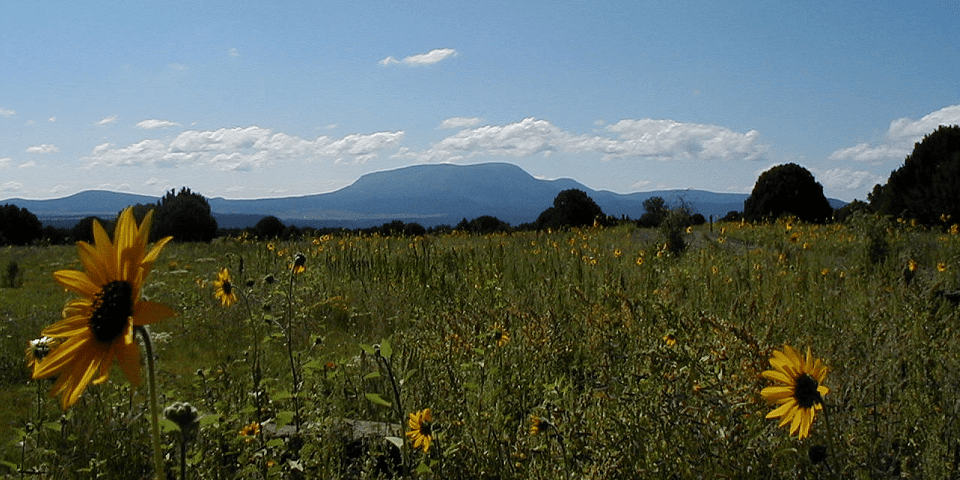 Coronado Trail National Scenic Byway | I-10 Exit Guide